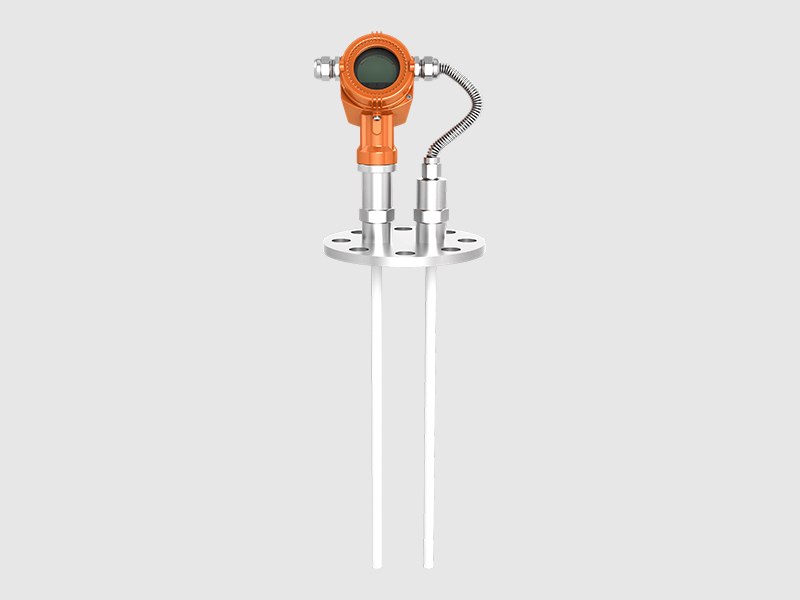 CG400雙電極電容式液位計